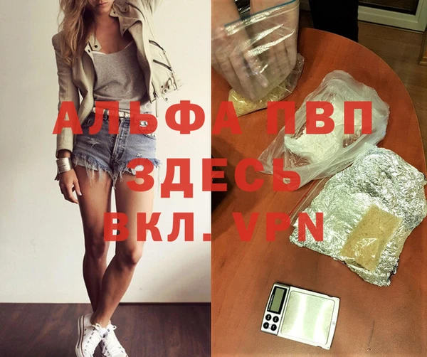 спиды Алзамай