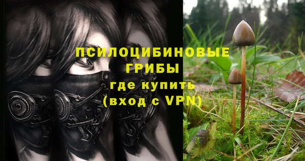 спиды Алзамай