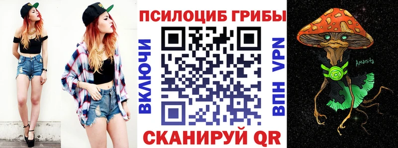 где можно купить наркотик  Александровское  Галлюциногенные грибы GOLDEN TEACHER 
